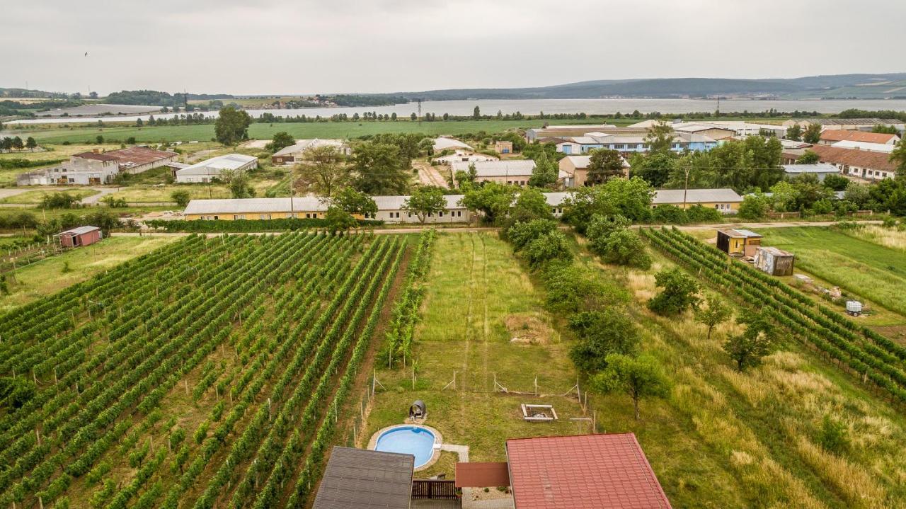 Penzion s restaurací na Furhaple Šakvice Esterno foto